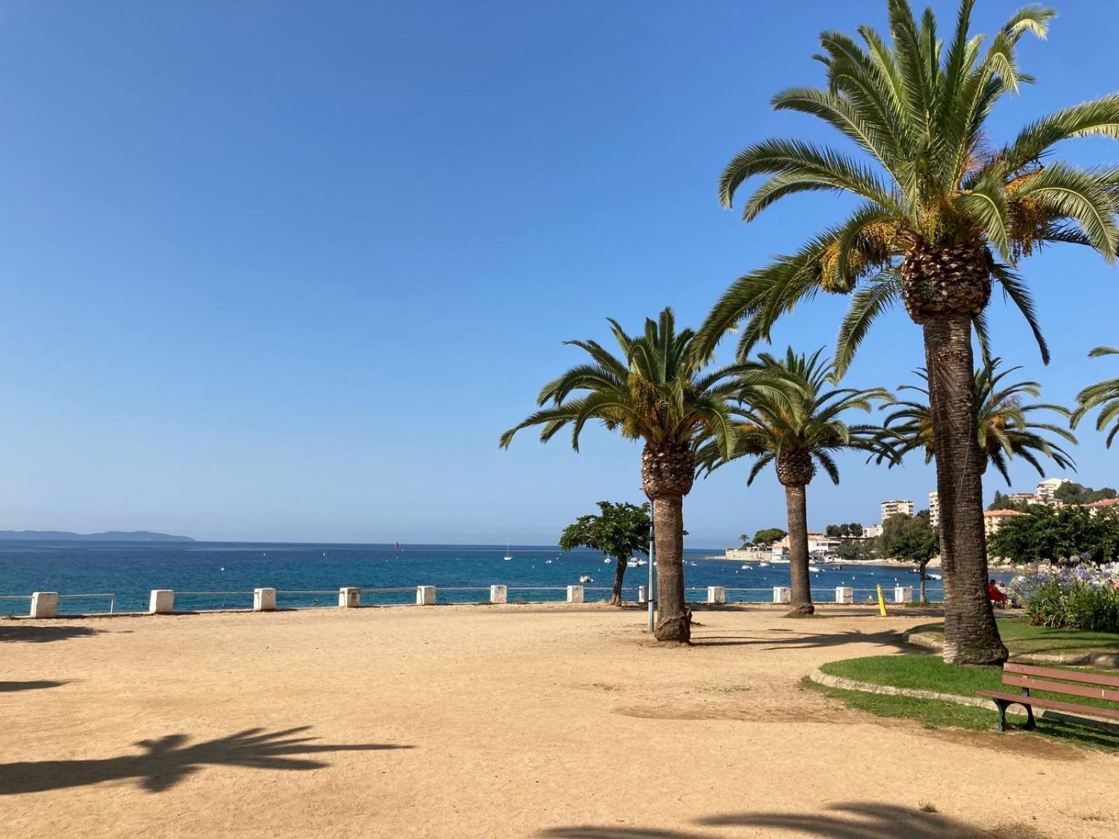 Front De Mer Beau T3 Climatise Balcon Parking Ajaccio Ajaccio  Eksteriør bilde
